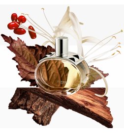 Barénia - Brume parfumée pour Cheveux